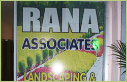 rana associates consultancy