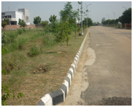 grass cutting