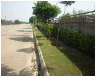 grass cutting