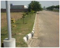 grass cutting