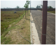 grass cutting