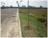 grass cutting