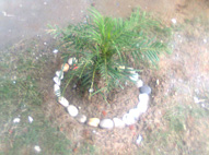 Sidhi Vinayak Mandhir