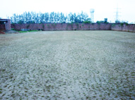 Grassing