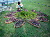 Making Arrangment