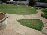 Sukhmani Park