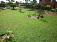 Sukhmani Park