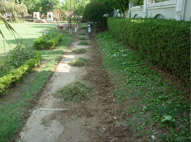 Sukhmani Park