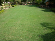 Sukhmani Park