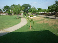 Sukhmani Park