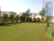 Rising Star School
