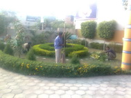 Rising Star School