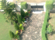 Rising Star School