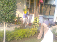 Rising Star School