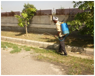 Spraying on weeds on roadside