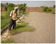 Spraying on weeds on roadside