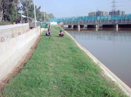 Sukhmani Park