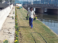 Sukhmani Park