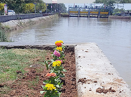 Sukhmani Park